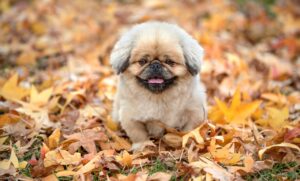 股関節の使い方を改善するための効果的なトレーニングは？