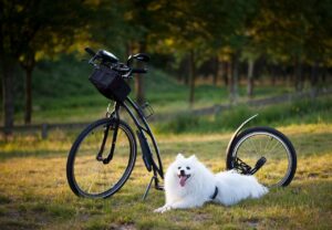 前十字靭帯が怪我しやすい人の特徴とは？