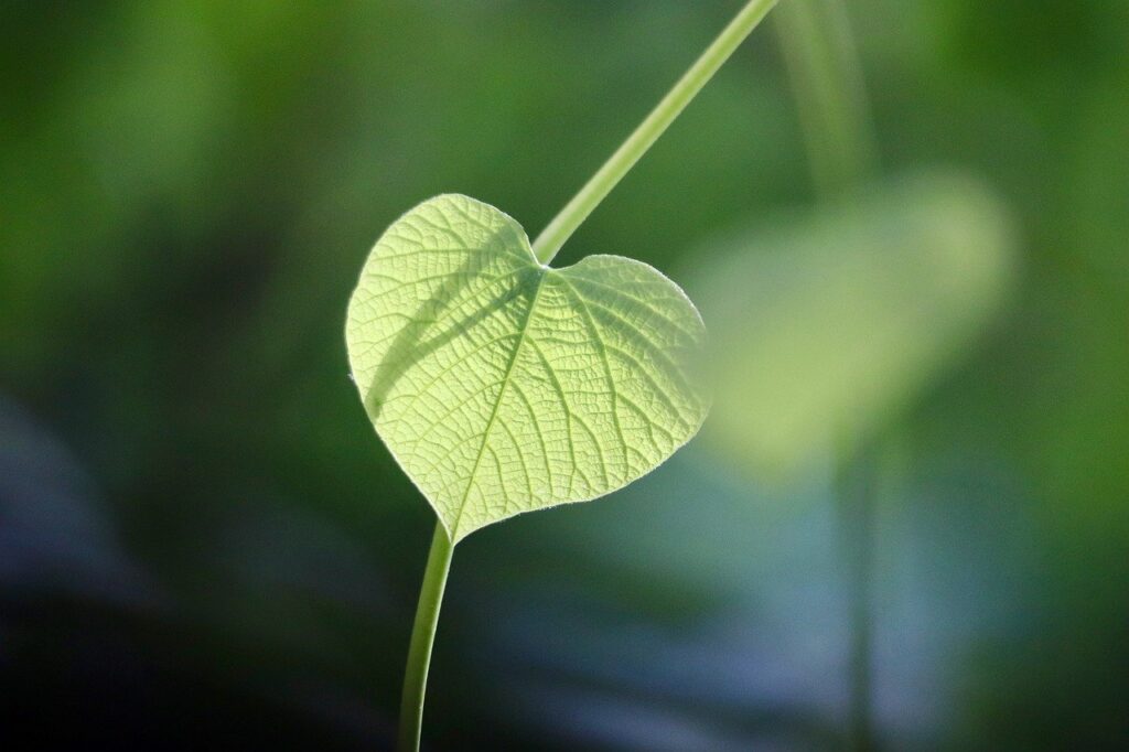 関節サプリを使ったサッカー選手におすすめのアイテムは？