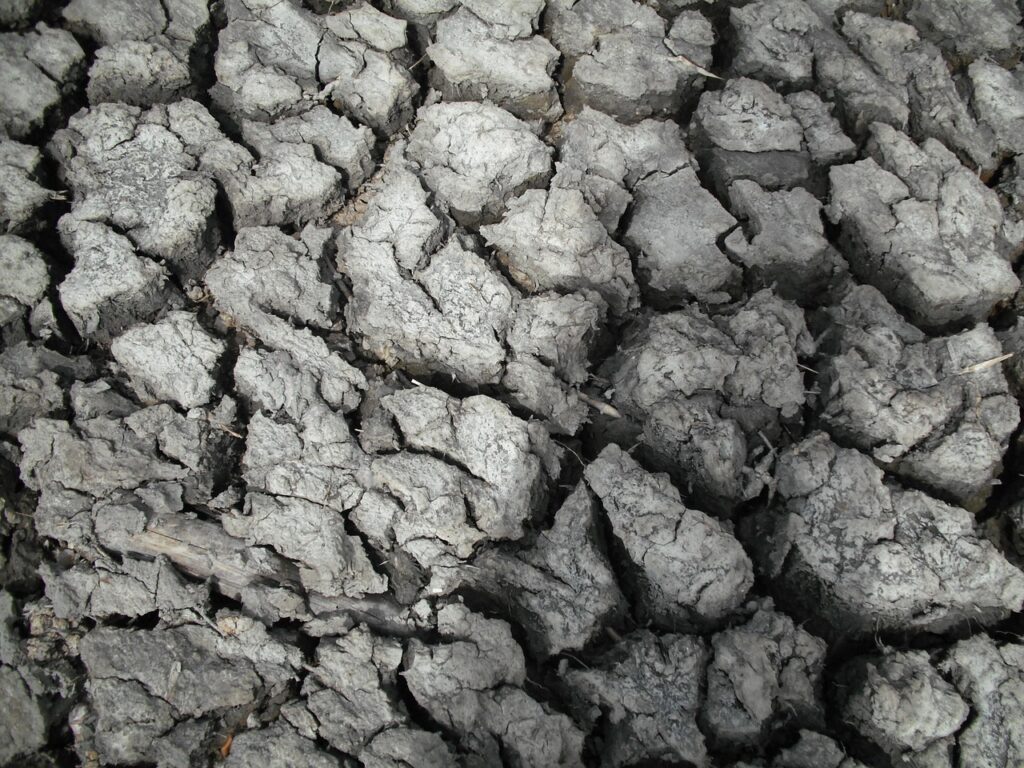 ACL断裂の予防に役立つ完全ガイドとは？