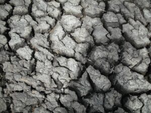 ACL断裂の予防に役立つ完全ガイドとは？