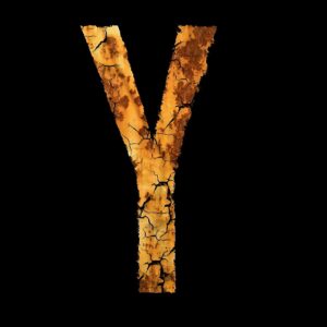 Yバランステストのやり方を詳しく解説しますか？