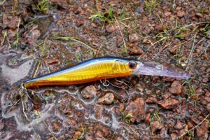 成長期の膝のぐらつきの原因と対策は？