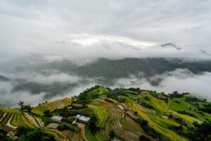 ステップアップでできるACL予防メニューとは？