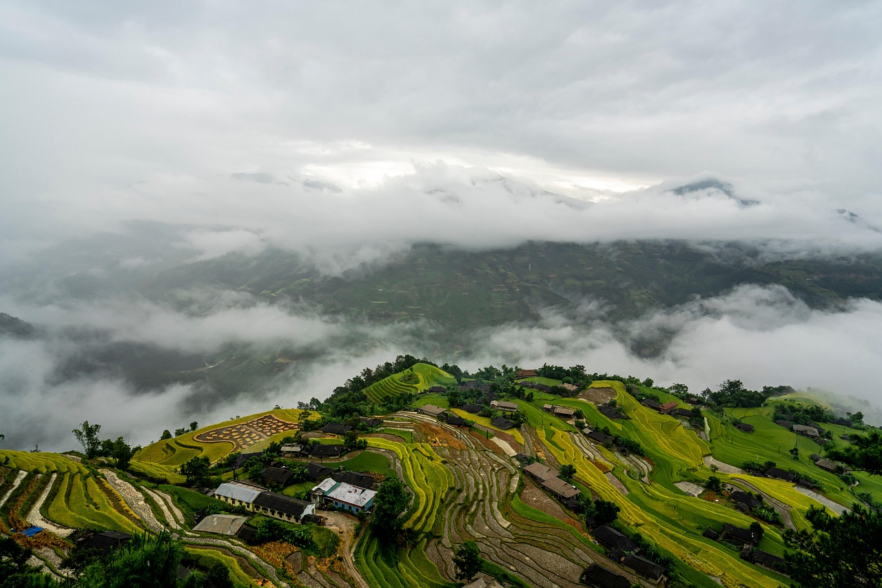 ステップアップでできるACL予防メニューとは？