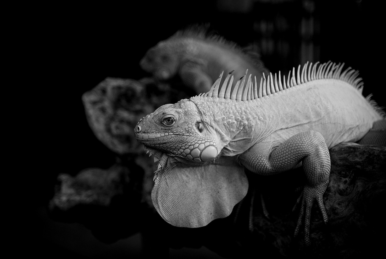 ハムストリングが弱いと感じる時の見分け方は？