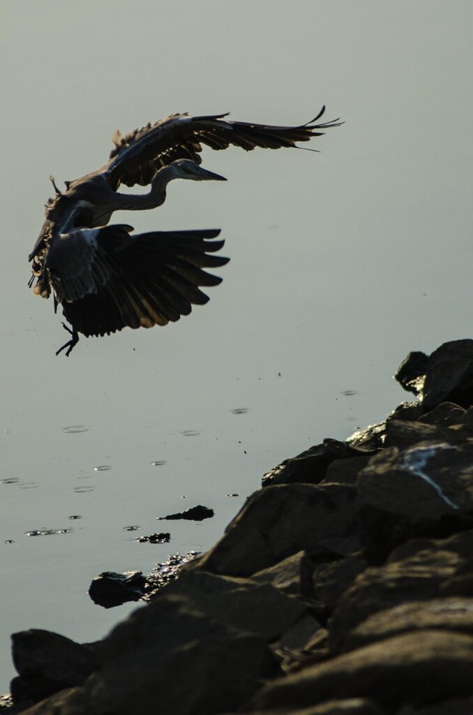 空中で体勢崩れた時の着地対策はどうすれば良い？