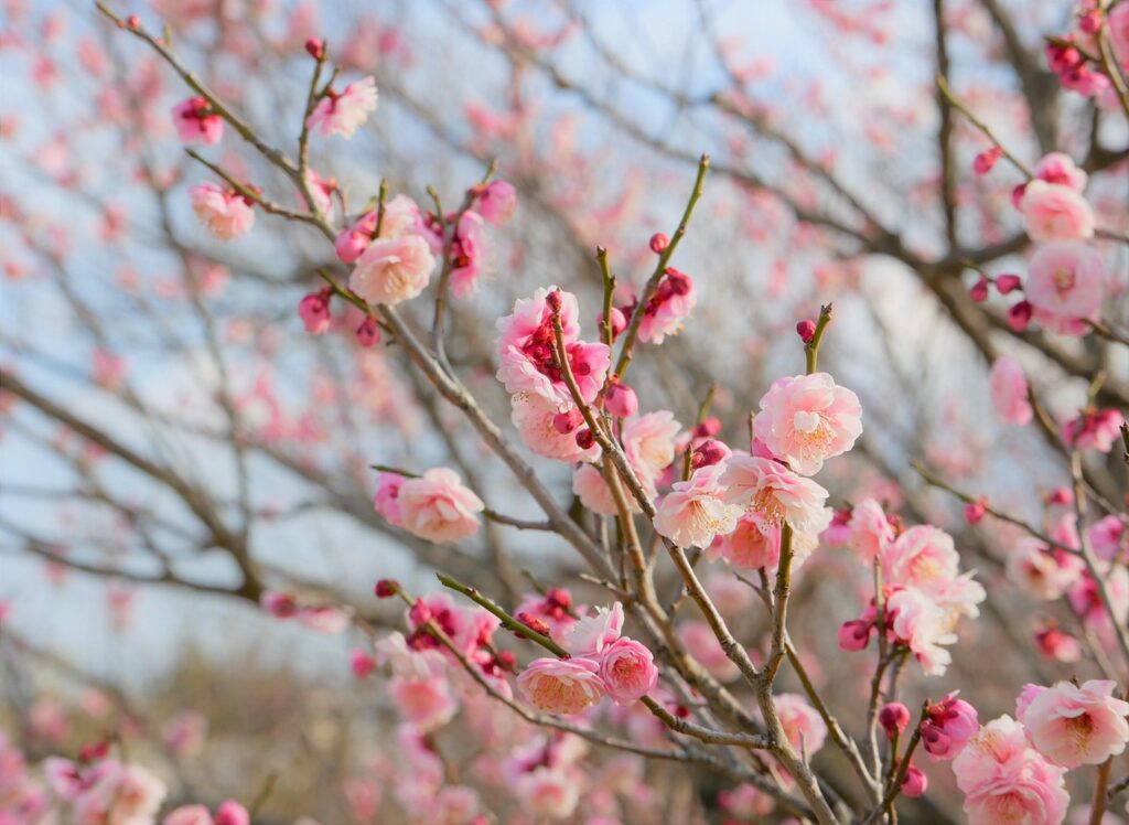 GKが飛び出し着地する際のACL予防対策は？