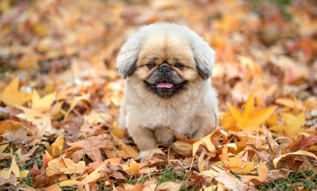 ACL断裂予防に関する最新情報を知るためのポイントは？