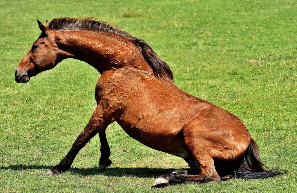 アップ省略ACL断裂の事例とその対策は？